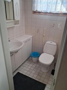 a small bathroom with a toilet and a sink at Jänispolku in Rauma +7 photos