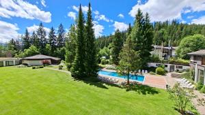 an aerial view of a yard with a swimming pool at Rancho Laaxdeluxe in Laax