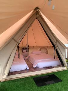 two beds in a bell tent with green grass at Telaga Menjer Glamping 2 in Kejajar