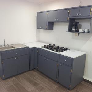 a kitchen with blue cabinets and a stove and a sink at Loft Garden Santiago México in Santiago