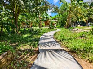 a walking path in a field with palm trees at KhaoSok Farmstay in Khao Sok National Park
