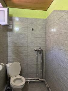 ein Badezimmer mit Toilette und Dusche in der Unterkunft SADA Guesthouse in Wardsia