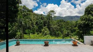 a swimming pool with potted plants in front of a forest at Villa des Princes in Ban Thung