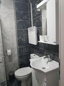 a bathroom with a toilet and a sink at Green Diamond in Vrnjci +24 photos