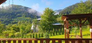 a view of a vineyard in the mountains from a porch at Садиба Грицюка in Krivorovnya
