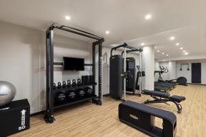 a gym with several treadmills and a mirror at Hampton Inn Long Island City NY in Long Island City
