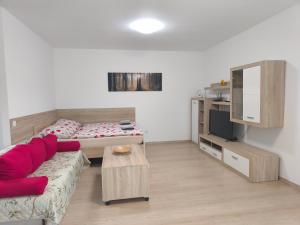 a living room with a couch and a bed and a tv at Apartmán Kurdějov in Hustopeče