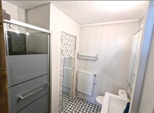 a small bathroom with a toilet and a sink at Appartement praloup 1600 in Pra-Loup