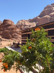 a building in the desert with mountains in the background at Wadi Rum Desert Secret in Wadi Rum