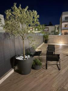 a tree sitting in a large pot on a patio at B&B Da Vinci in Cassano delle Murge
