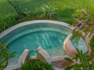 a pool in a garden with stairs leading into the water at HAVAN Villas - Yogyakarta in Jarakan