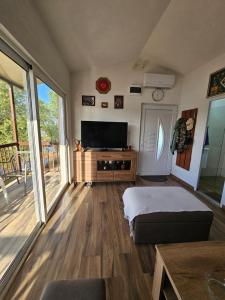 a living room with a bed and a television at Holiday home Ramovic in Virpazar