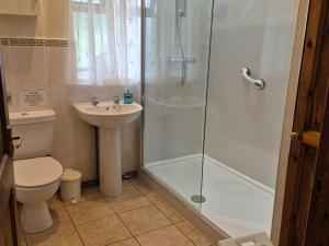 a bathroom with a shower and a toilet and a sink at The Carthouse in Hereford +11 photos