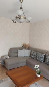 a living room with a couch and a table at Apartamentai Gertrūda in Druskininkai