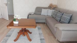 a living room with a couch and a coffee table at Apartamentai Gertrūda in Druskininkai