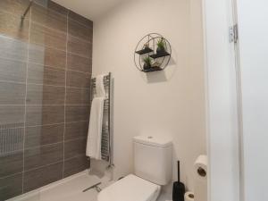a bathroom with a white toilet and a shower at Apartment 20, River View in Preston +9 photos