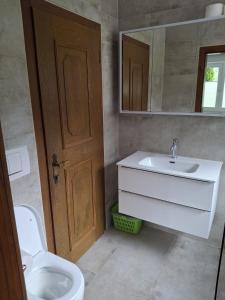 a bathroom with a toilet and a sink and a mirror at Appartement Milli in Längenfeld +17 photos