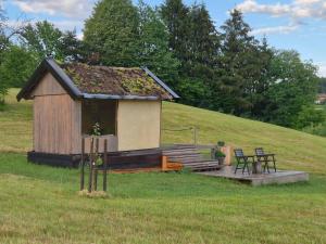a small cabin in a field with a table and chairs at Lake window in Škofja Vas