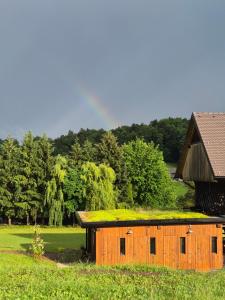 a wooden barn with a grass roof on a field at Lake window in Škofja Vas +5 photos