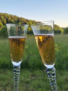 two glasses of champagne in a field of grass at Lake window in Škofja Vas