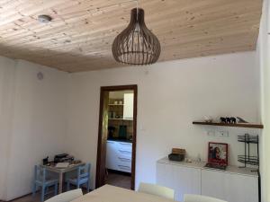 a kitchen with a table and a light hanging from the ceiling at Lago Maina Appartamenti in Sauris
