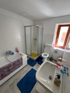 a bathroom with a sink and a shower and a toilet at pensione VAIS in Piotta
