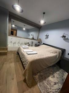 a bedroom with a bed and a large mirror at Villa Rinat in Kyiv +91 photos