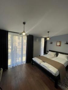 a bedroom with a large bed and a large window at Villa Rinat in Kyiv