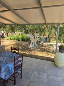 a patio with a table and a vase at Garyfallia's House in Korifásion