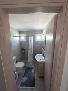 a bathroom with a white toilet and a sink at Garyfallia's House in Korifásion +9 photos