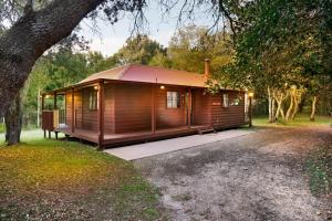 a cabin in the woods with a tree at Seaside Retreat in Mitchells Island