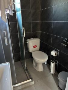 a small bathroom with a toilet and a shower at Kale Apartments Trpejca SUP and bikes included in Ohrid +22 photos