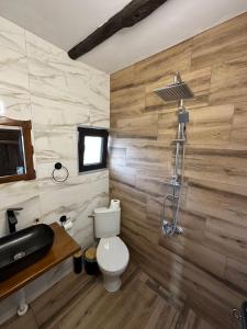 a bathroom with a toilet and a sink and a shower at Bachvarov house Бъчваровата къща in Palitsi +49 photos