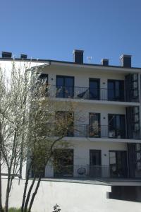 an apartment building with balconies and a tree at IG Apartamentos in Palas de Rei