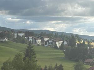a group of houses on a green hill with trees at Le cocon du télésiège - Piscine chauffée - Métabief in Métabief