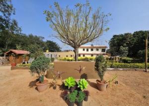 a group of potted plants in front of a house at LEO DREAM HAMPi in New Hampi