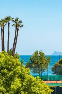 a group of palm trees with the ocean in the background at Waterfront Riviera in Naples
