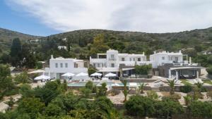 an aerial view of a villa with a swimming pool at Chrysalis Nature Villa 3 in Kampos Paros