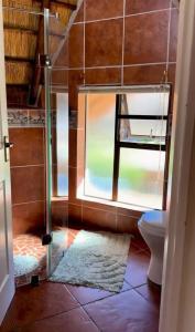 a bathroom with a shower with a toilet and a window at Selukwe Safari Lodge in Marloth Park +18 photos