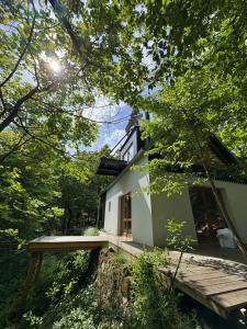 a house in the woods with the sun shining at Studio MEZILES in Buš
