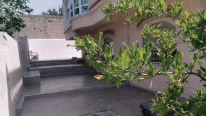 a building with stairs and a tree in the foreground at Palm Serenity in Tangier