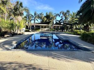 a swimming pool in the middle of a house with palm trees at Barwon Valley Lodge in Geelong