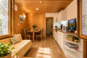 a kitchen and living room in a tiny house at Ferienwohnung in Itter bei Söll SkiWelt Wilder Kaiser Kitzbüheler Alpen ITD100 in Itter +13 photos