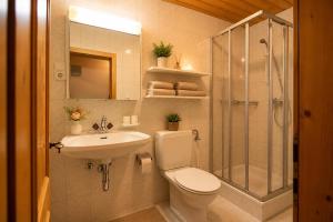 a bathroom with a toilet and a shower and a sink at Ferienwohnung in Itter bei Söll SkiWelt Wilder Kaiser Kitzbüheler Alpen ITD100 in Itter