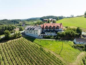an aerial view of a large house on a hill at Hotel Eckbergerhof in Gamlitz