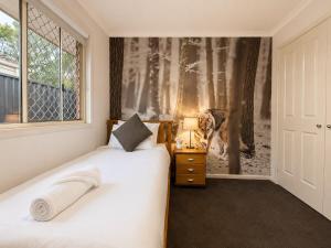 a bedroom with two beds and a window at Pet Friendly close to Mooloolaba Sleeps 6 in Mountain Creek
