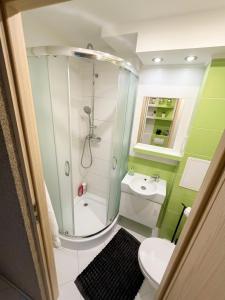 a bathroom with a shower and a toilet and a sink at Apartament Staropijarska in Łuków