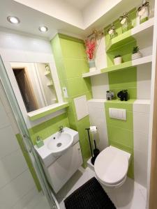 a green bathroom with a toilet and a sink at Apartament Staropijarska in Łuków