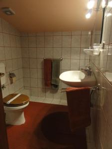 y baño con aseo y lavamanos. en Rooms Marko Polo, en Zadar