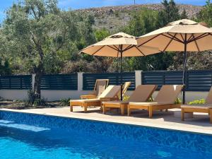 a group of chairs and umbrellas next to a pool at Villa Paula in Radovici
